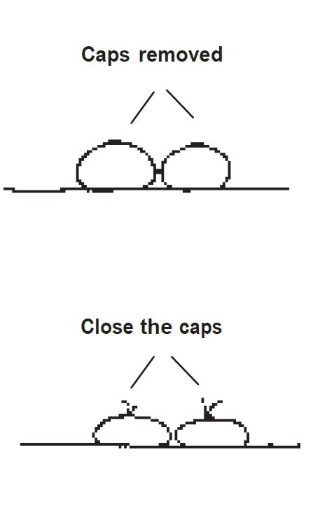 Closing the caps of Beaver® mobile flood barrier tubes