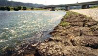 River bank protection to prevent soil erosion