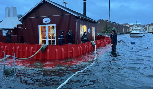 NOAQ Boxwall Storm babet