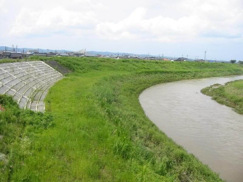 Rock Bags overtaken by vegetation over time